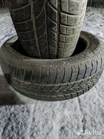 Tigar Winter A 20.5/55 R16 19