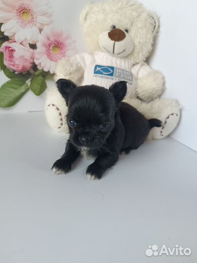 Малыш Космос