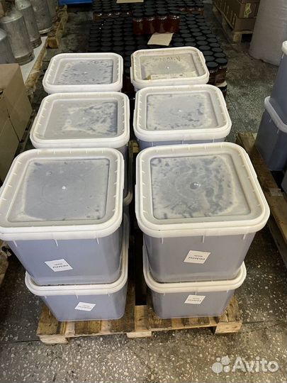 Гречишный мед свежий урожай