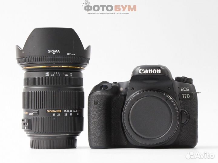 Canon 77D body + Sigma 17-50mm f2.8 HSM DC OS