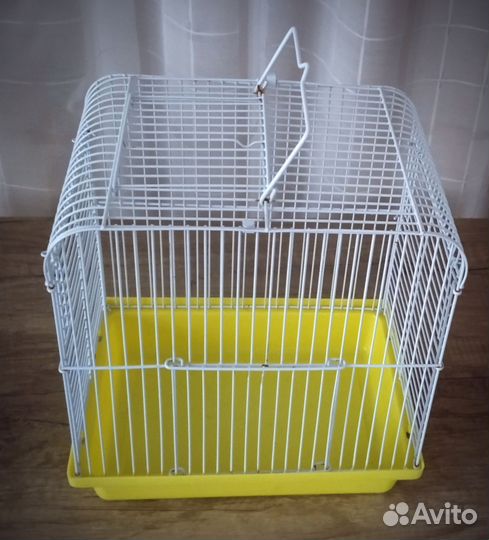 Клетка