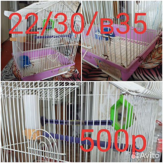 Клетки маленькие.клетки большие с потдонам