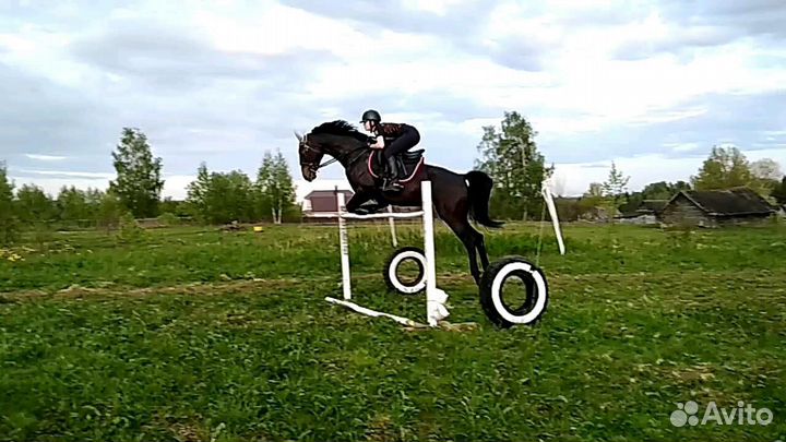 Постой для лошадей