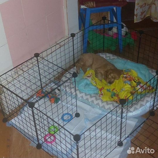Вольер для животных,клетка для питомца