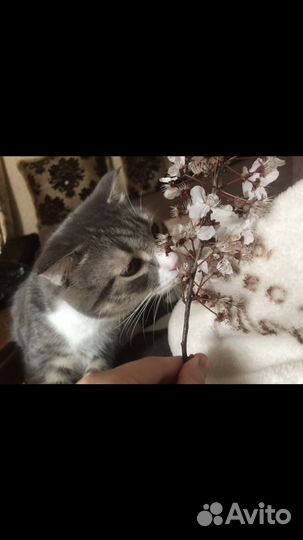 Котик для вязки