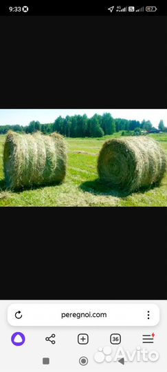 Сено в рулонах