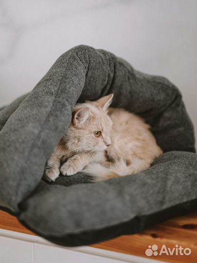 Домик лежанка для кошки