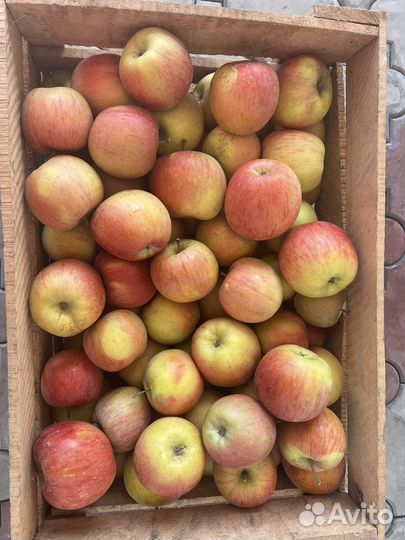 Яблоки Фуджи