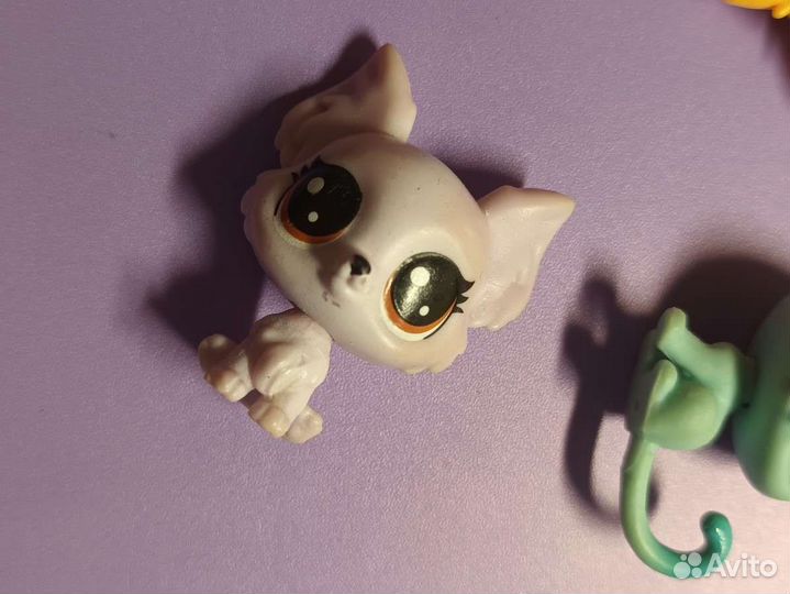 Littlest Pet Shop