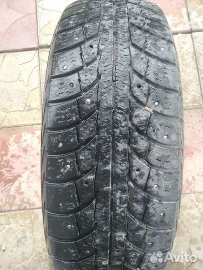 Gislaved Frost 175/70 R14