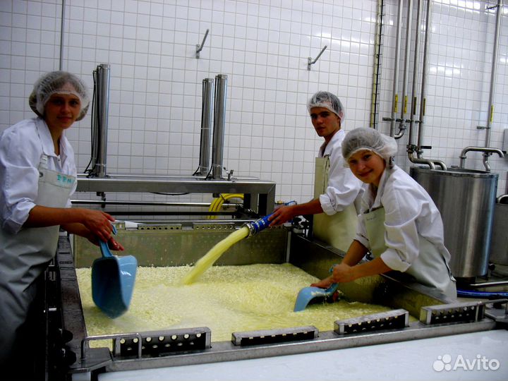 Рабочие оплата ежедневно (маслозавод)