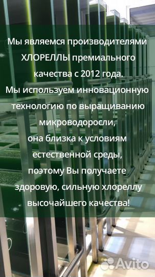 Хлорелла для водоемов и рыбы