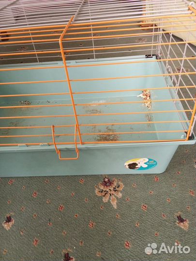 Клетка для грызунов большая Ferplast Rodents