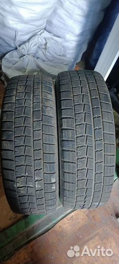 Dunlop Winter Maxx 185/65 R14