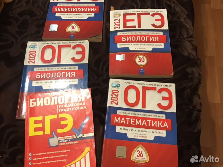 Помошь в учебе