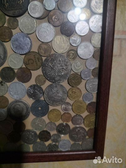 Пано из монет