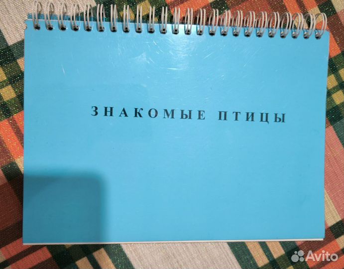 Знакомые птицы