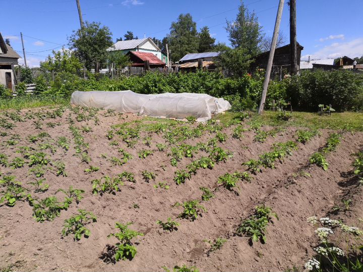 Дом 28 м² на участке 4 сот.