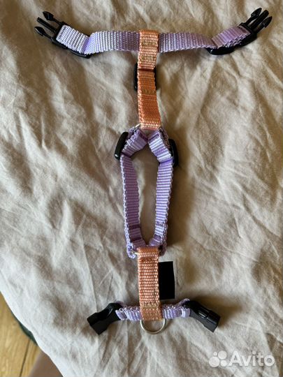 Шлейка для маленькой собаки