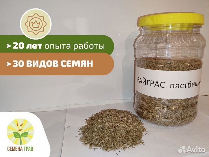 Семена Райграс