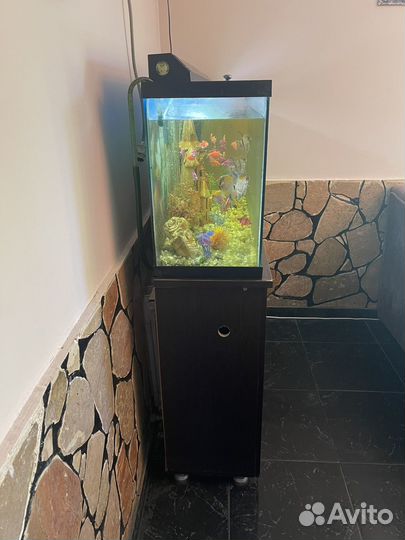 Аквариум