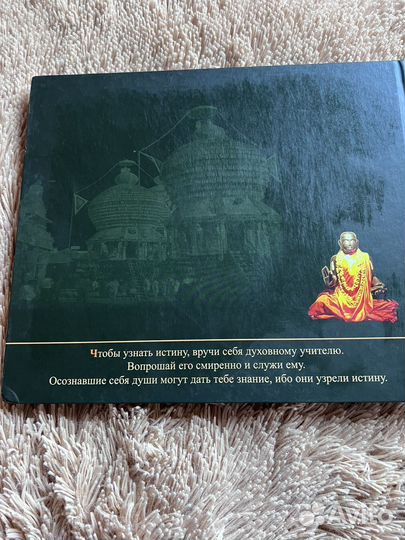 Книга Южная Индия с Александром Хакимовым