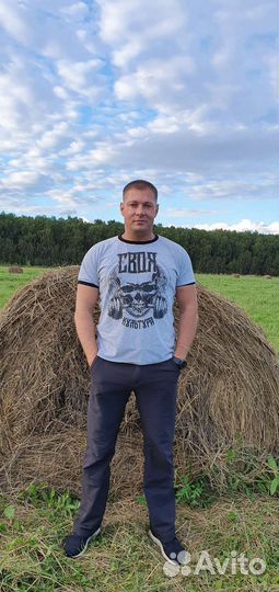 Персональным или офисным водителем,категория в