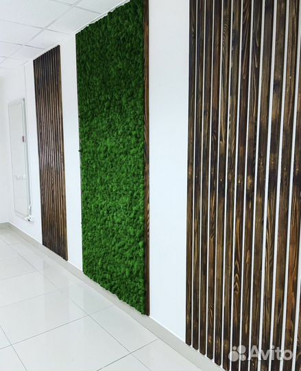 Панно из стабилизированного мха