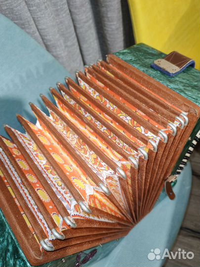 Гармонь Кубань