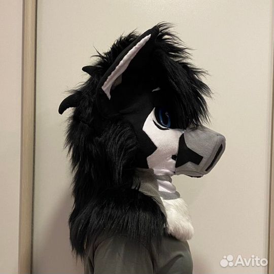 Фурсьют кот