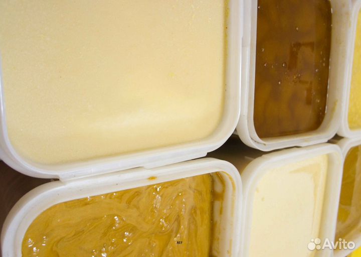 2024 Мед натуральный из Алтая оптом