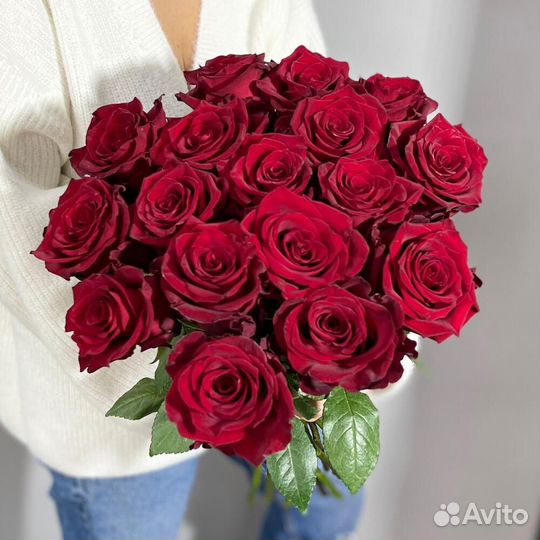 Розы эквадор