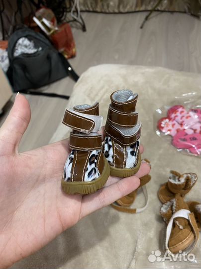 Обувь для собак 2