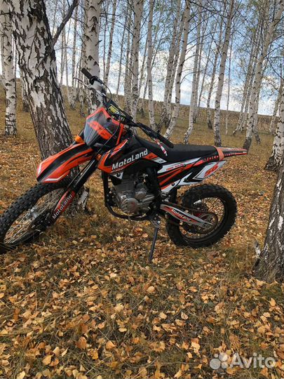 Motolend crf 250 2022