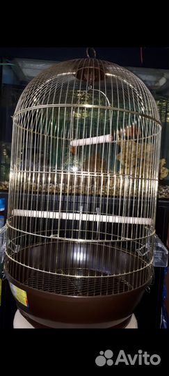Клетки новые для попугаев