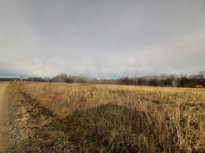 Участок 100 сот. (СНТ, ДНП)