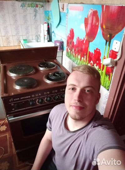 Ремонт электрических плит и духовок