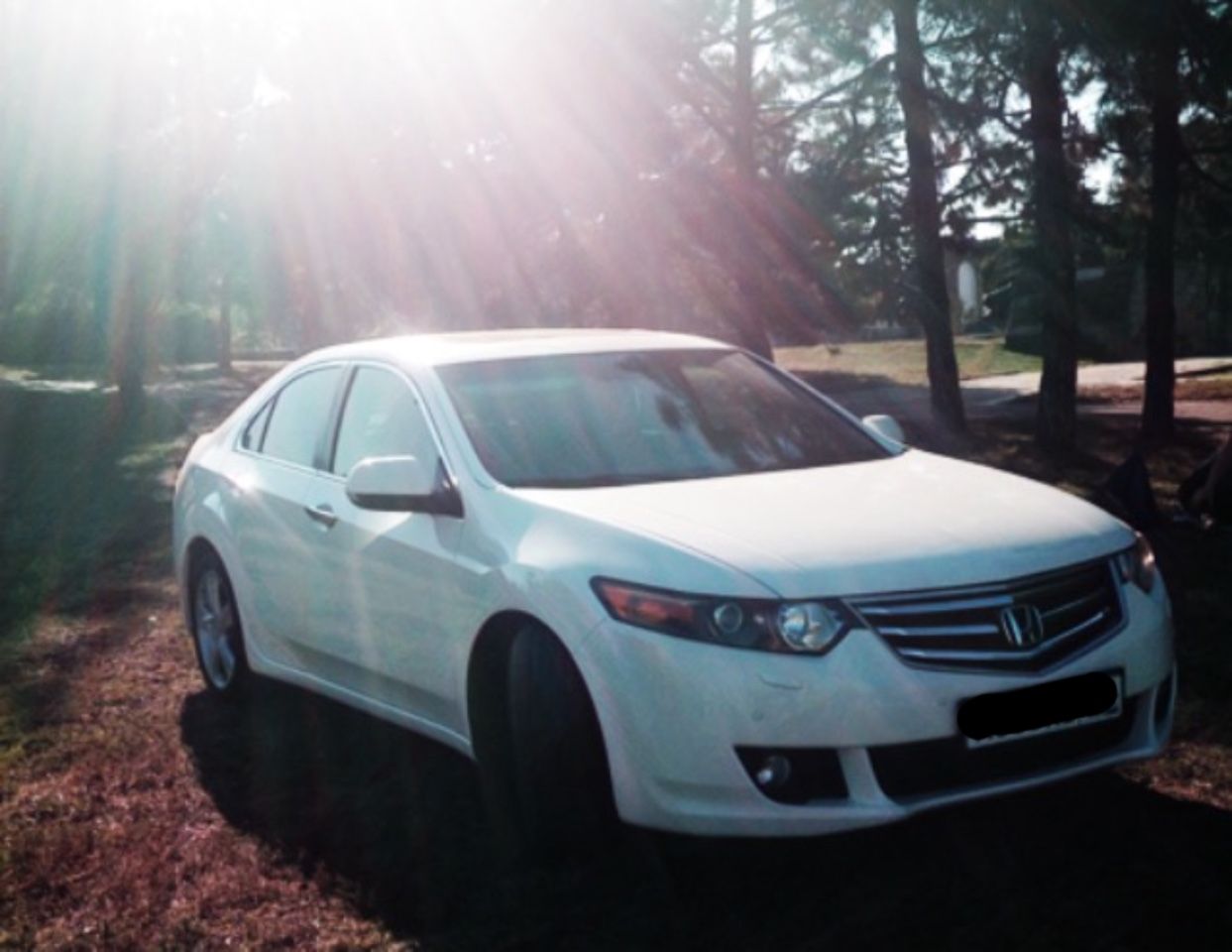 Honda Accord: фото владельца