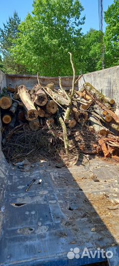 Вывоз мусора в Барвихе