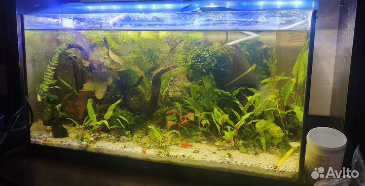 Аквариум 50 литров