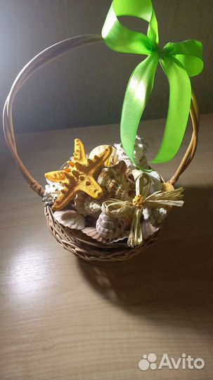 Продам ракушки с моря