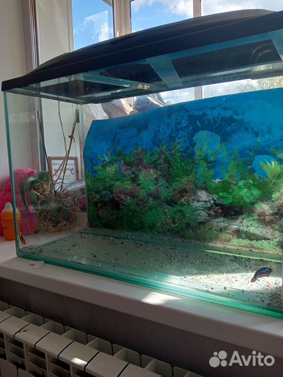 Аквариум