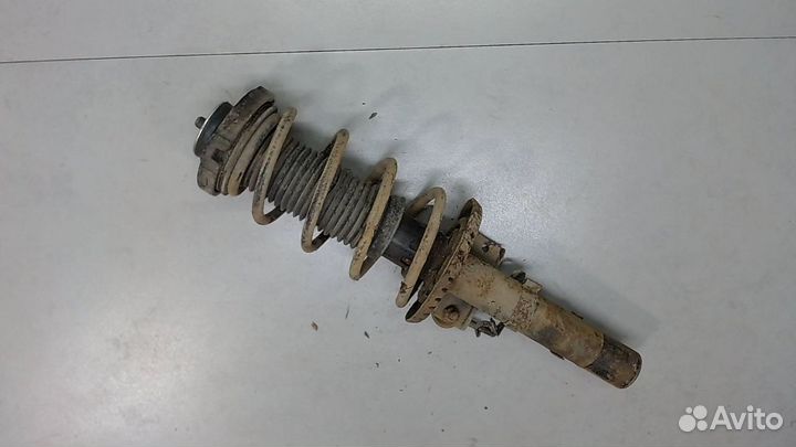 Амортизатор подвески Seat Ibiza 3, 2004