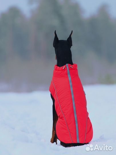 Osso жилет зимний для собак Аляска (красный)