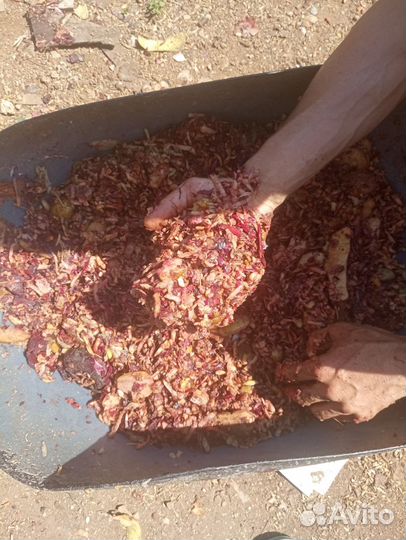 Корморезка измельчитель корм свиньи овощерезка