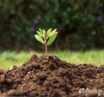 Плодородный грунт