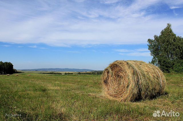 Продам сено и солому в рулонах купить в Костроме | Животные и зоотовары ...
