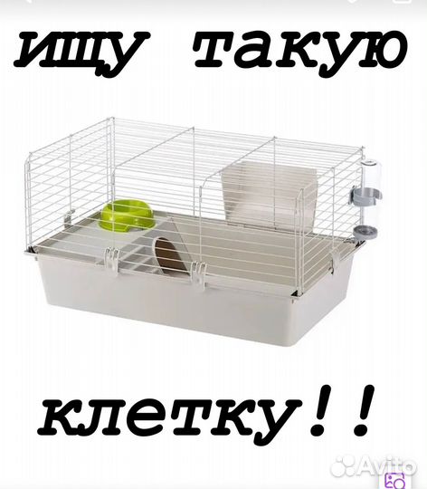 Клетка