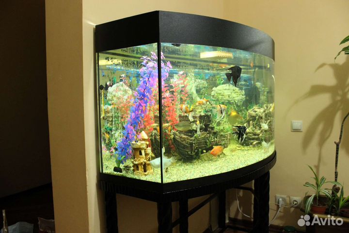 Аквариум