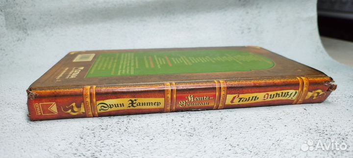 Коты воители Стань диким первая книга